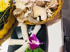 -川西坝子(苏州城市生活广场店)