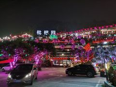 -枇杷园食为鲜火锅(南山店)