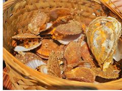 -蚝堡海鲜·威海菜·海肠捞饭·烧烤·亚洲吃蚝公司(幸福门店)
