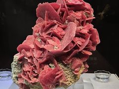 -湖南省地质博物馆