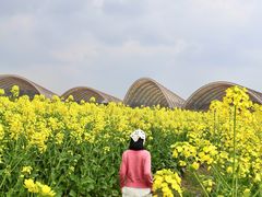 -中国天府农业博览园