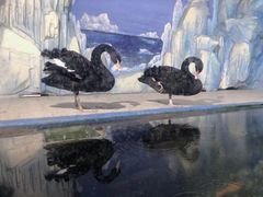-常州海昌海洋探索馆