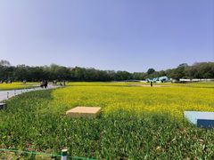 -北陵公园