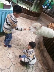 -宝燕乐园(闵行旗舰店)