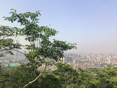 -千佛山风景名胜区