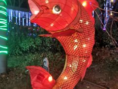 -梦东方未来世界航天主题乐园