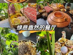 -菌自由丨野生菌火锅特色庭院餐厅(丽江古城店)