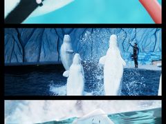 -珠海长隆海洋王国
