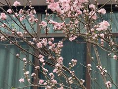 -山东省千佛山医院