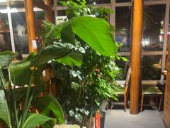 -草原塞蛮羊火锅城(港湾店)