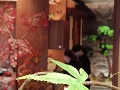 -揽季锅物会.福建黄鱼.海鲜姿造(五四路店)