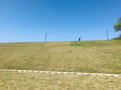 -佛手湖郊野公园