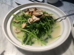 上汤白苋菜-京味斋·北京烤鸭(华威桥北工大店)
