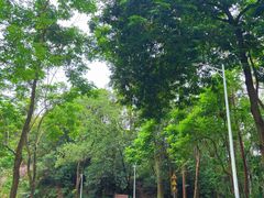 -火炉山森林公园