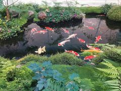 -罗红摄影艺术馆