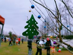 -前小桔亲子创意农场·草莓采摘·露营烧烤