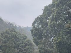 -青城山