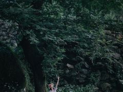 -白云源风景区