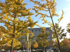 -大族广场Mall&More