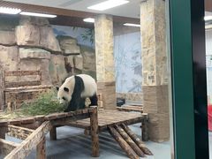 -无锡动物园·太湖欢乐园
