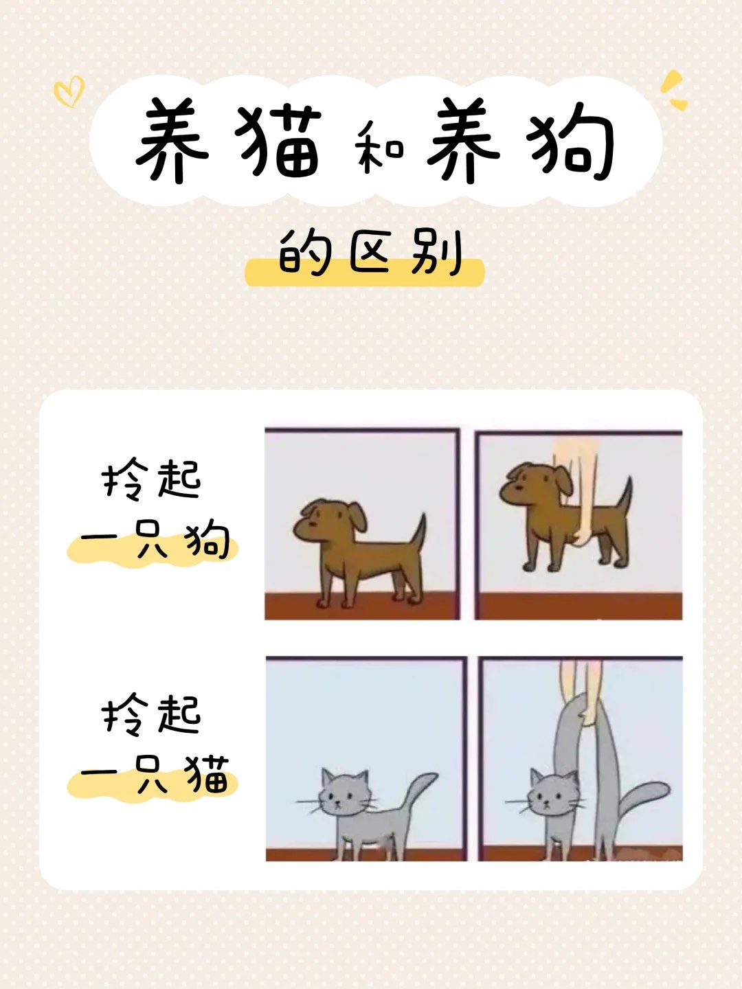 养猫or养狗?看完是谁扎心了我不说