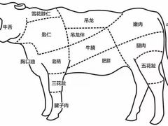 -牛a潮汕鲜牛肉粿条(天河北店)