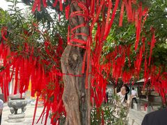 -西安青龙寺遗址景区