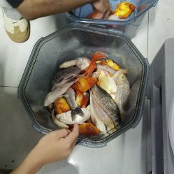 -巡鱼道·室内垂钓·渔具店