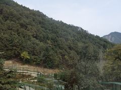 -栾川竹海野生动物园