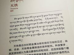 -青海藏文化博物院