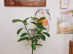 -慢熟面包店bud bread(孩儿巷店)