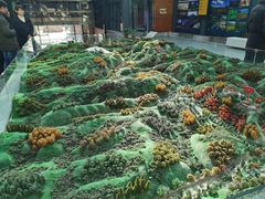 -照金红色旅游名镇