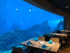 -海棠湾洲际-涛·海底餐厅·美人鱼·自助餐·海底隧道