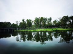 -溱湖国家湿地公园