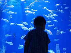 -成都浩海立方海洋公园