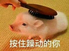 -味多美蛋糕(阜成门店)