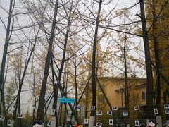 -府河摄影公园