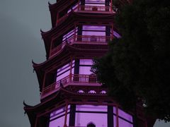 -绳金塔