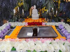 -彩虹桥宠物火化殡葬善终服务(金乐大厦店)