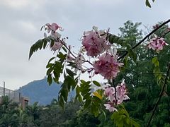 -四海公园(南山区)