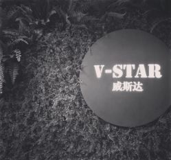 点击看大图 -V-STAR威斯达•高级私人定制