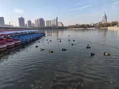 -莲花池公园
