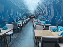 -涛·海底餐厅·美人鱼·自助餐·海底隧道(三亚海棠湾洲际度假酒店)