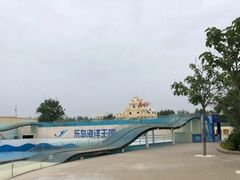 -秦皇岛乐岛海洋王国