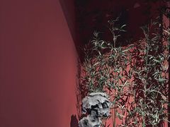 -河东池盐文化博览园