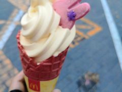 -麦当劳(农光里店)