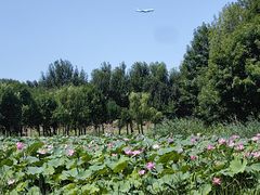-东郊湿地公园