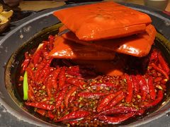 -蜀大侠火锅(总府路店)