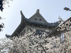 -武汉大学-樱园