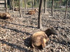 iphone_upload_pic-溱湖国家湿地公园